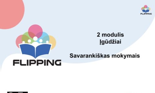 2 MODULIS: Įgūdžiai
